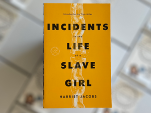 Incidents in the Life of a Slave Girl Book Box
